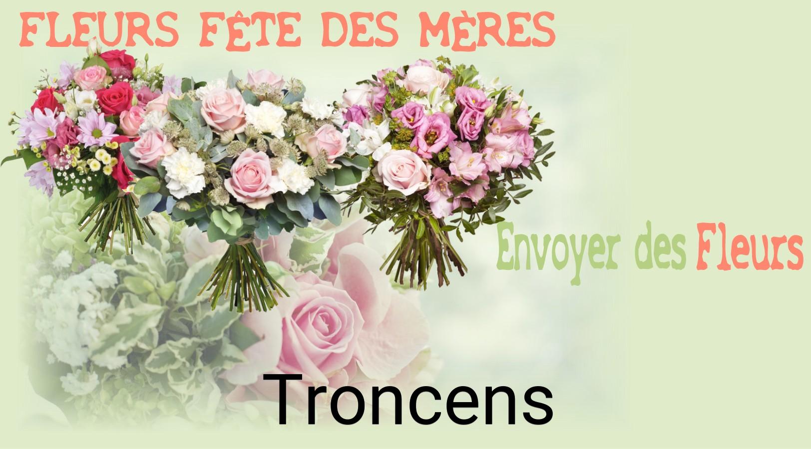 Bouquet de Fête des Mères livré à Troncens